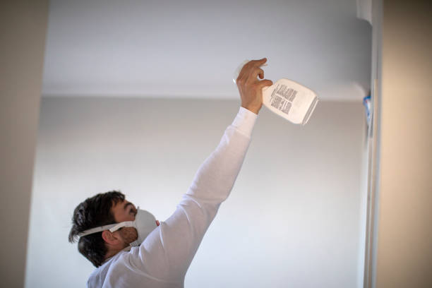 Best Best Mold Removal Companies  in Fort Hood, TX