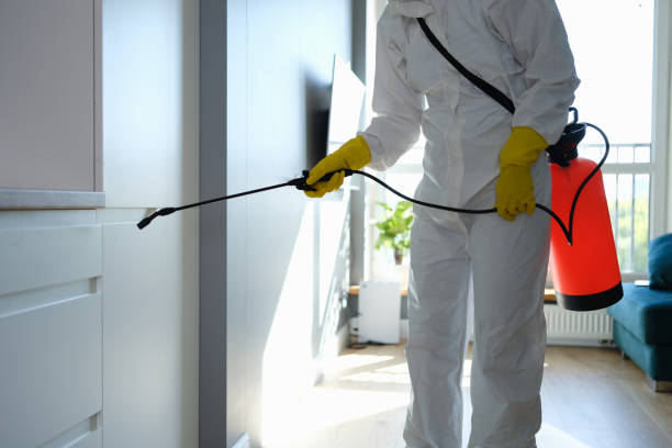 Best Toxic Mold Removal  in Fort Hood, TX